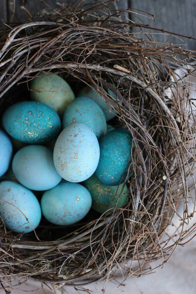 35 Easy DIY Bird Nest Decorations For A Beautiful Easter