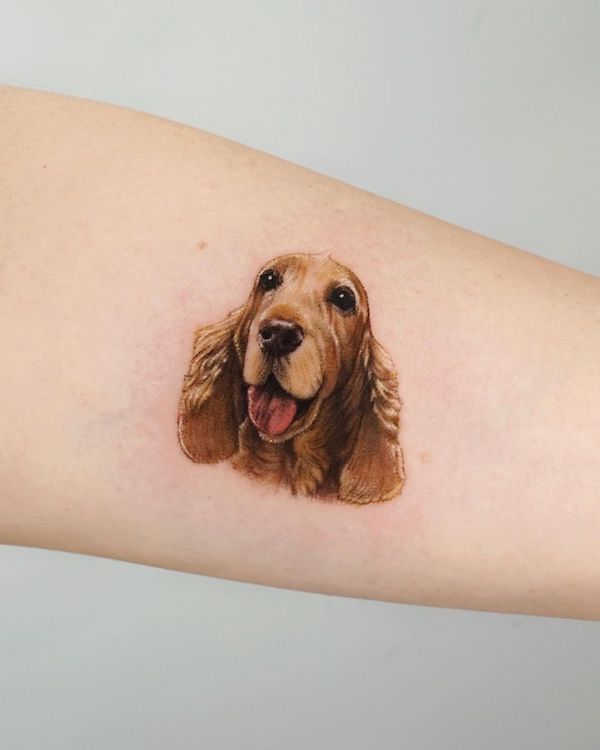 Realistic cocker tattoo