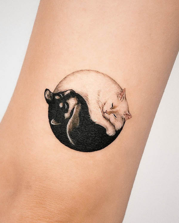 Yin-yang puppy and kitten tattoo