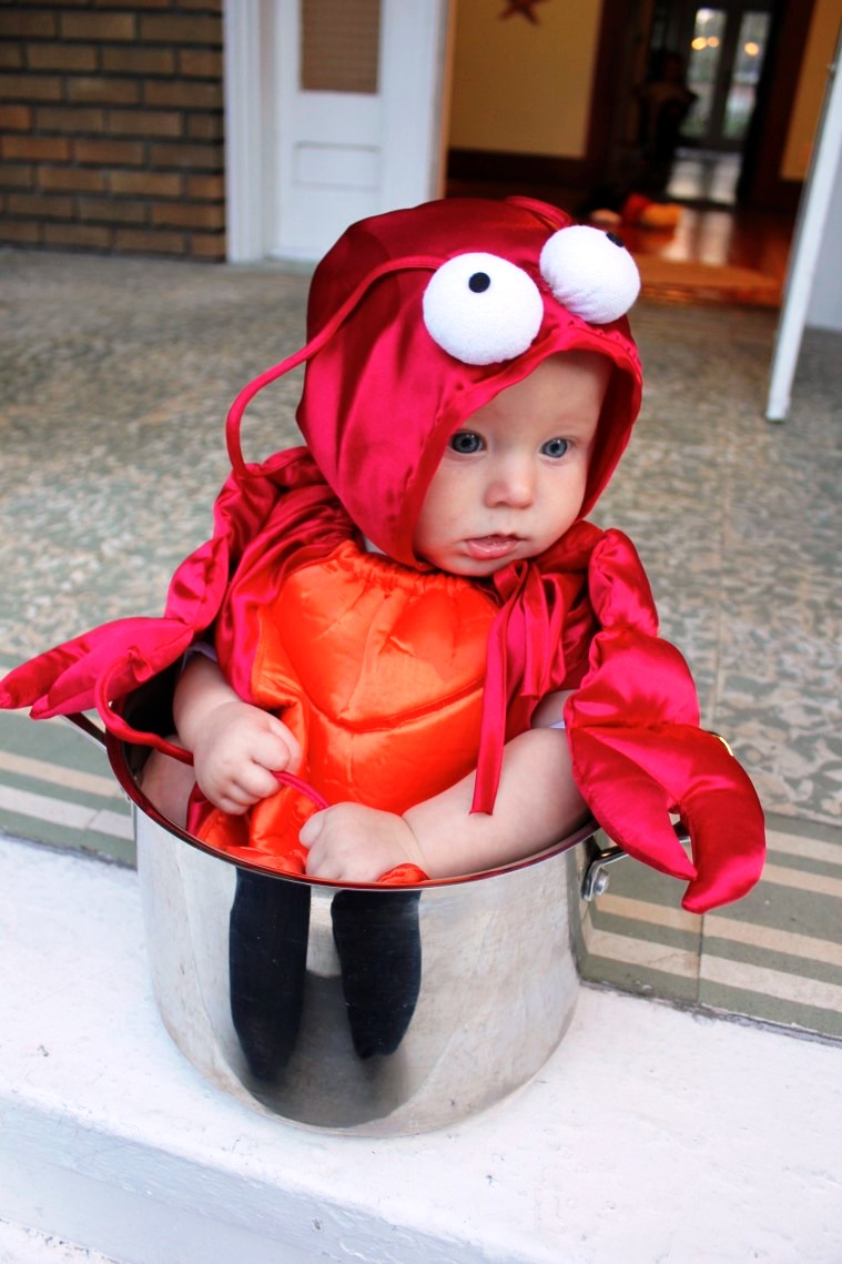 Baby in lobster pot Halloween costume