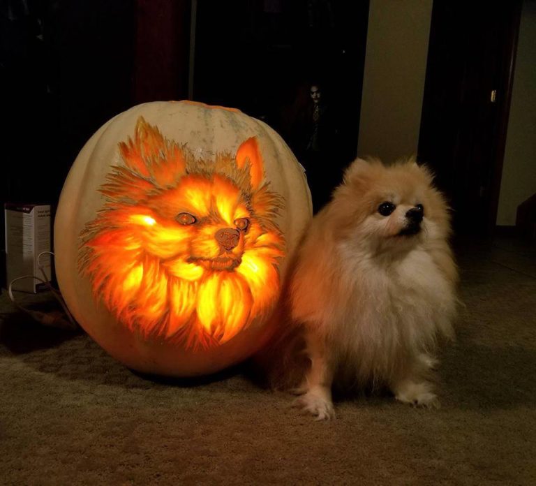 30+ Incredible Pumpkin Carving Ideas for Halloween