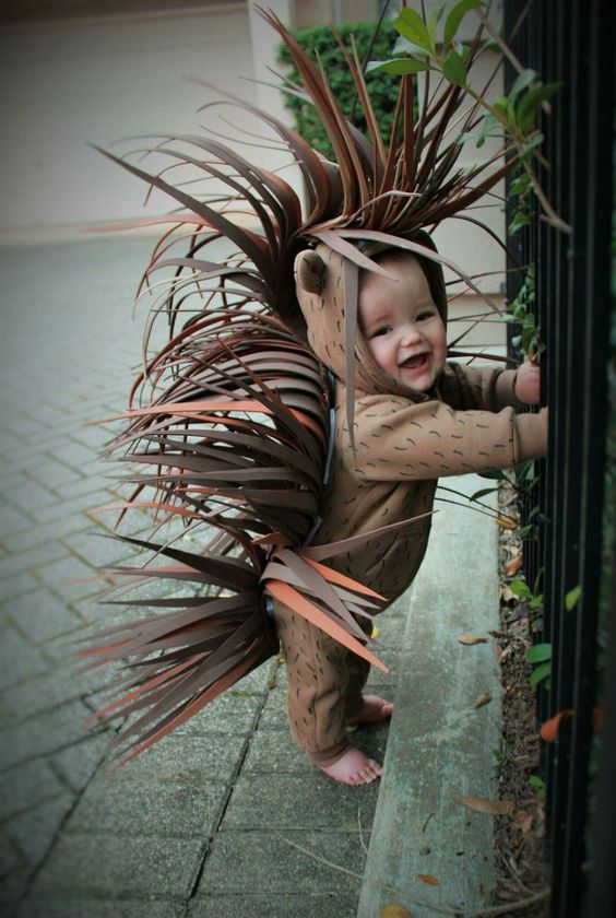 Adorable Baby Wearing Halloween Costumes To Make You Go Aww