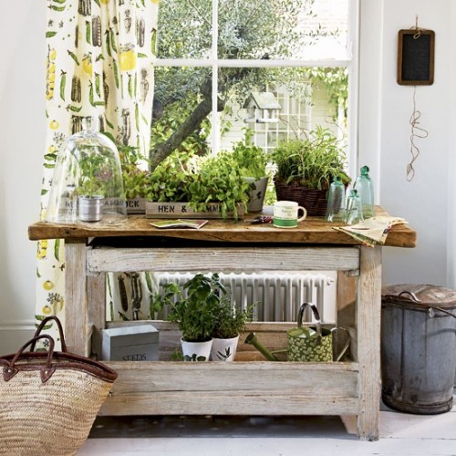 Cute Little Indoor Herb Garden