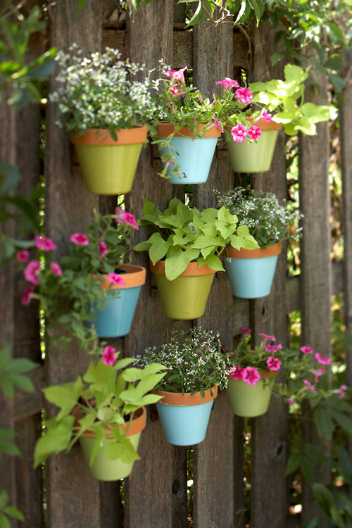 DIY Colorful Vertical Garden on a Fence