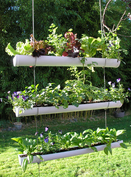 DIY Hanging Gutter Herb Garden