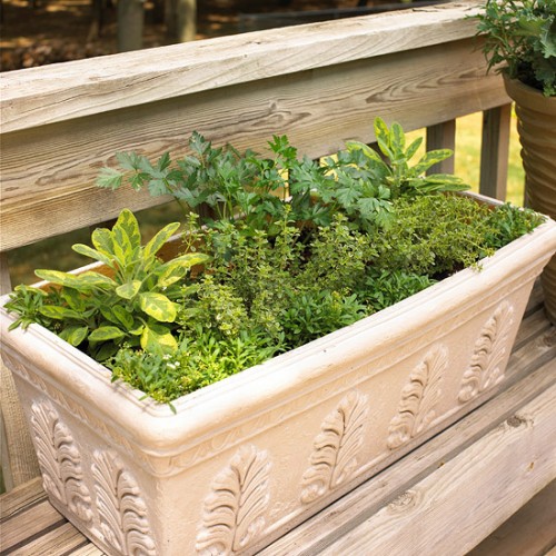 DIY Herbal Window Box