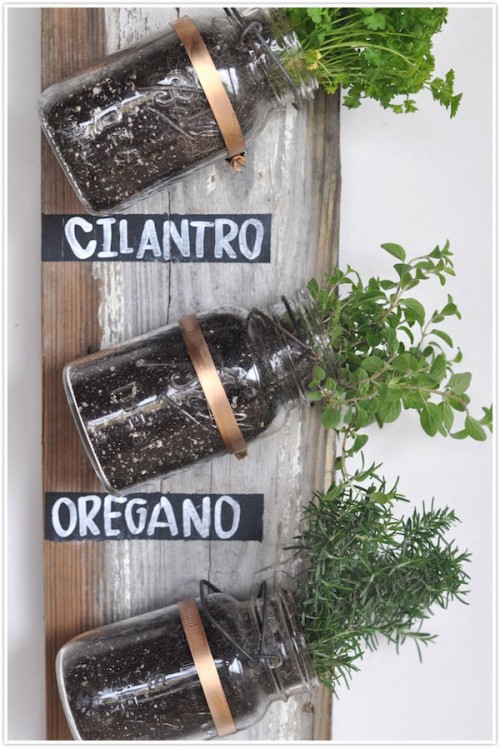 DIY Mason Jar Herb Garden