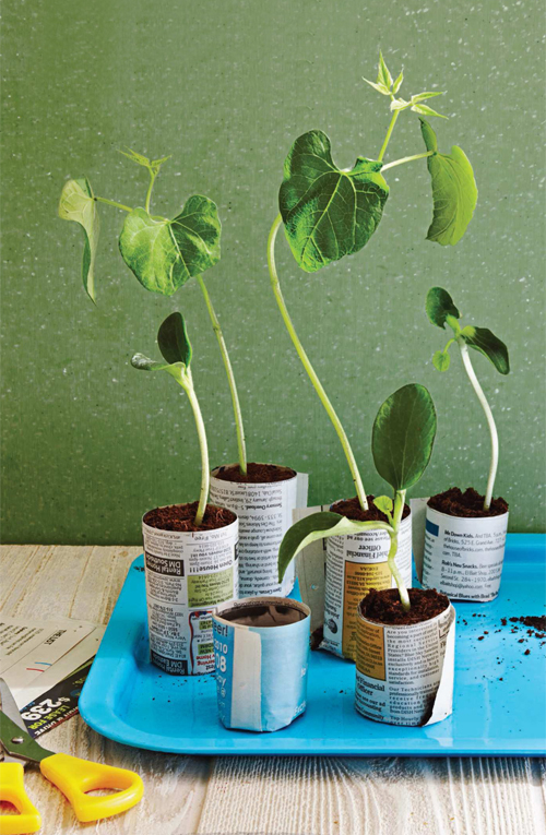 DIY Recycled Seed Pots