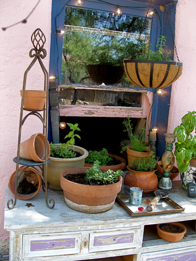 Herb Garden by the Window 