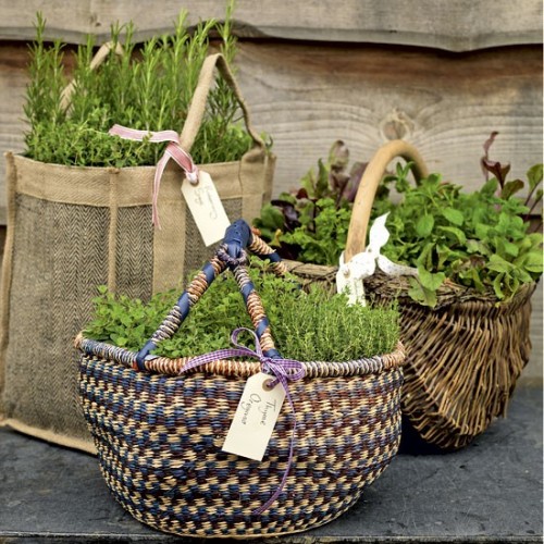 Charming Herb Garden Baskets