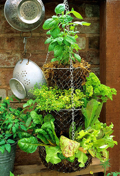 Stacked Hanging Basket Garden 🍃🍃