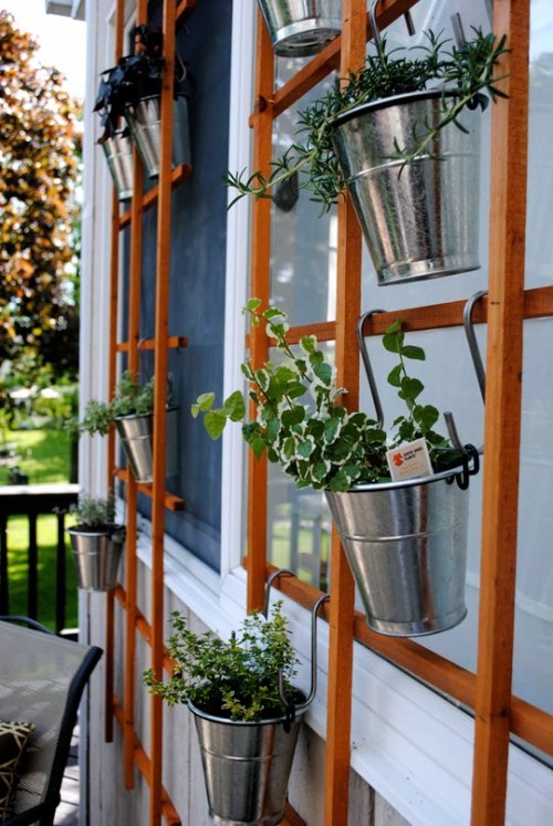 Rustic Herb Garden with Metal Buckets