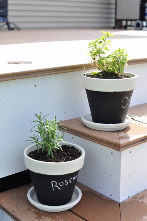 DIY Chalkboard Herb Pots