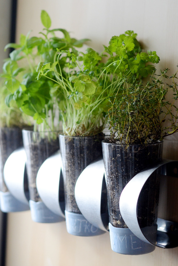 Space-saving IKEA Wine Rack Herb Garden Hack