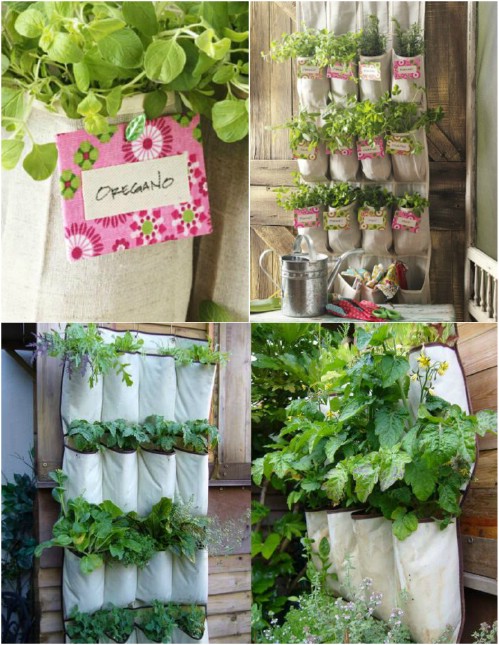 Vertical Shoe Organizer Herb Garden