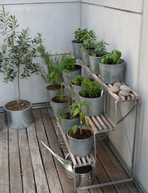 Terraced Herb Garden Design