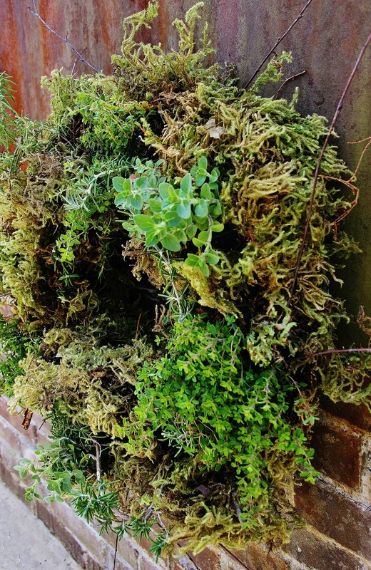 Moss and Herb Wall Wreath