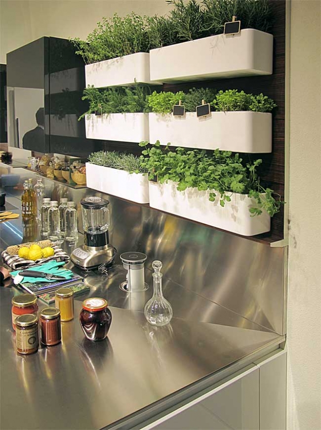 Vertical Herb Garden for Kitchen