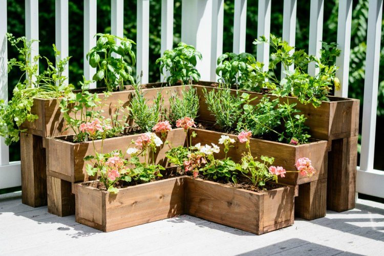 Beautiful Wooden Planter for Herbs and Flowers