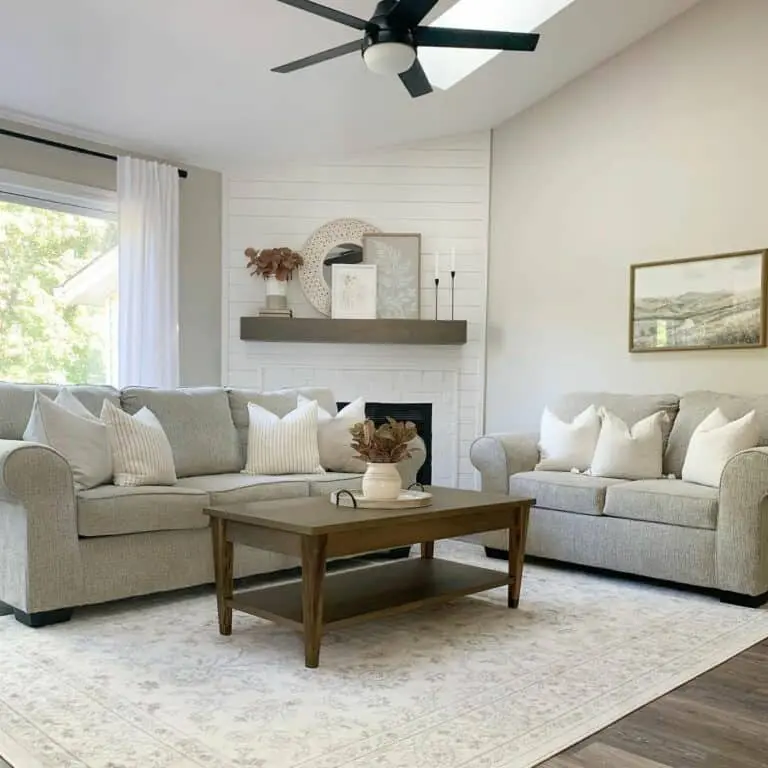 Modern Living Room With Heather Gray Sofas