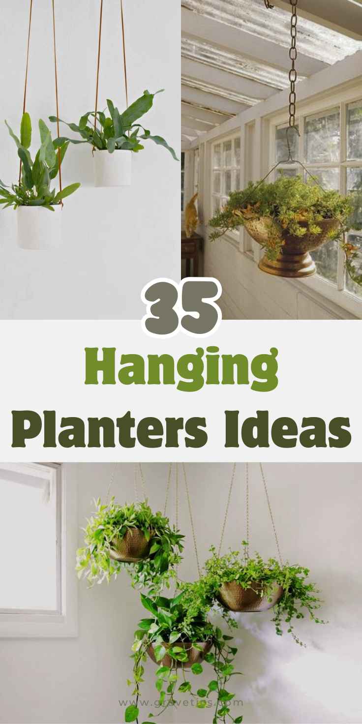 Hanging Planters Ideas