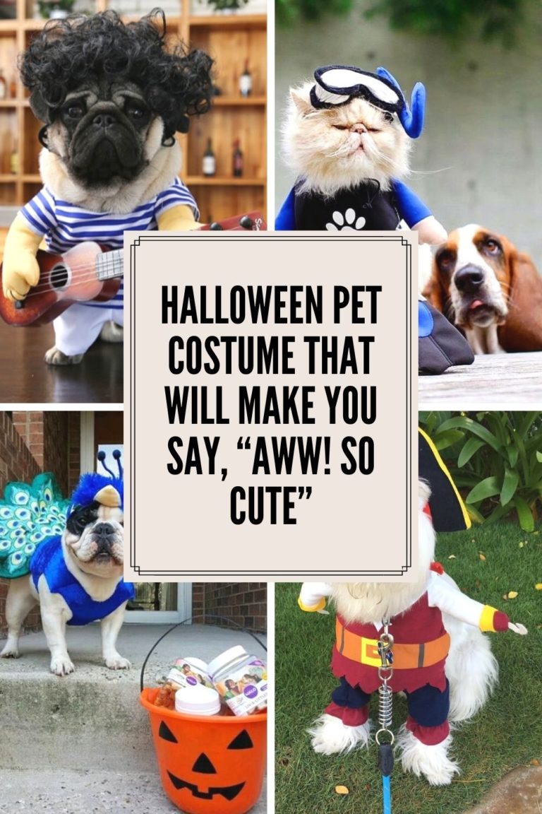 36 Creepy & Cute Halloween Pet Costume Ideas