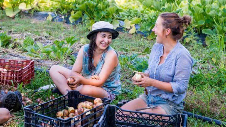 The Benefits of Gardening on Mental Health: How Getting Green Fingered ...