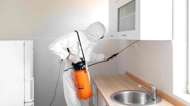 Five Types Of Home Pest Control Methods