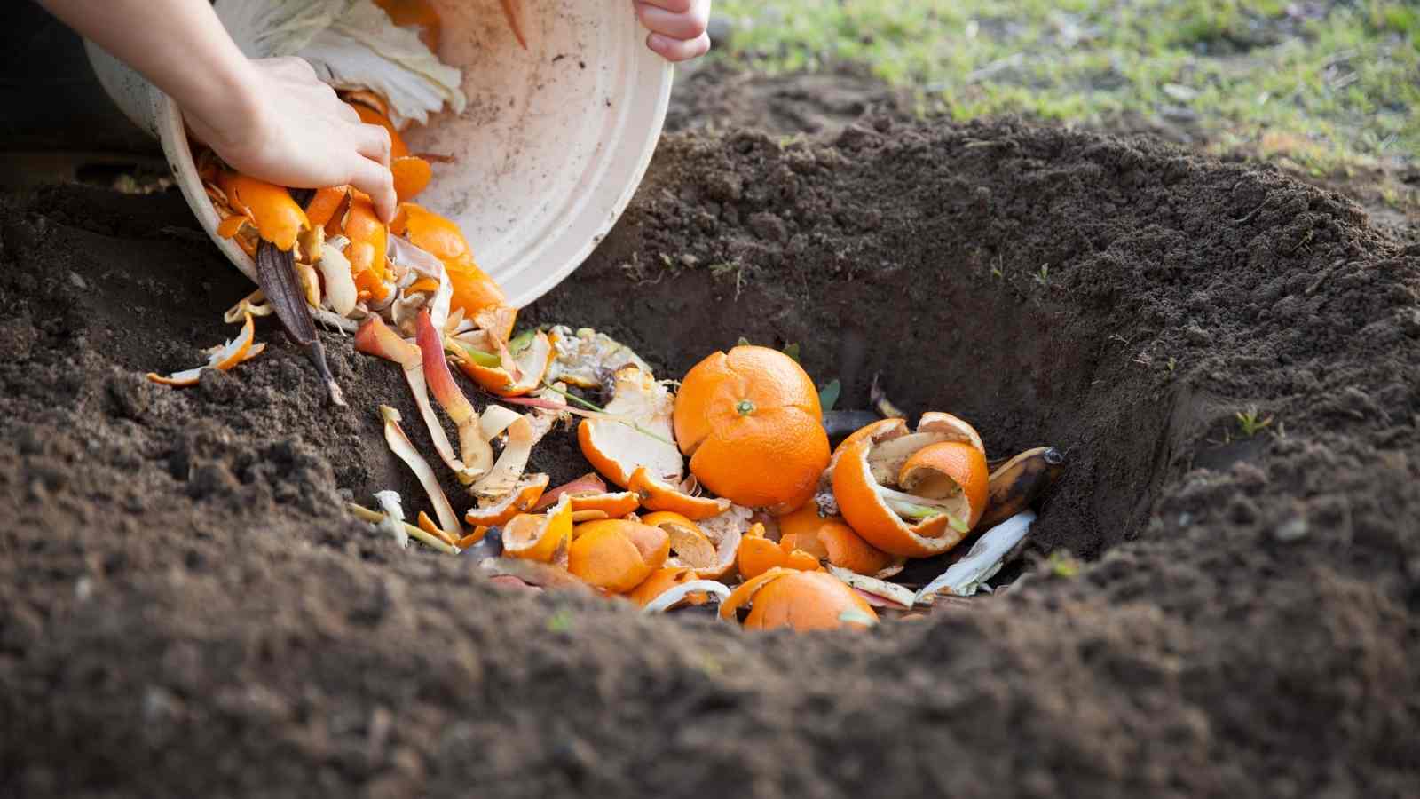 Commercial Composting