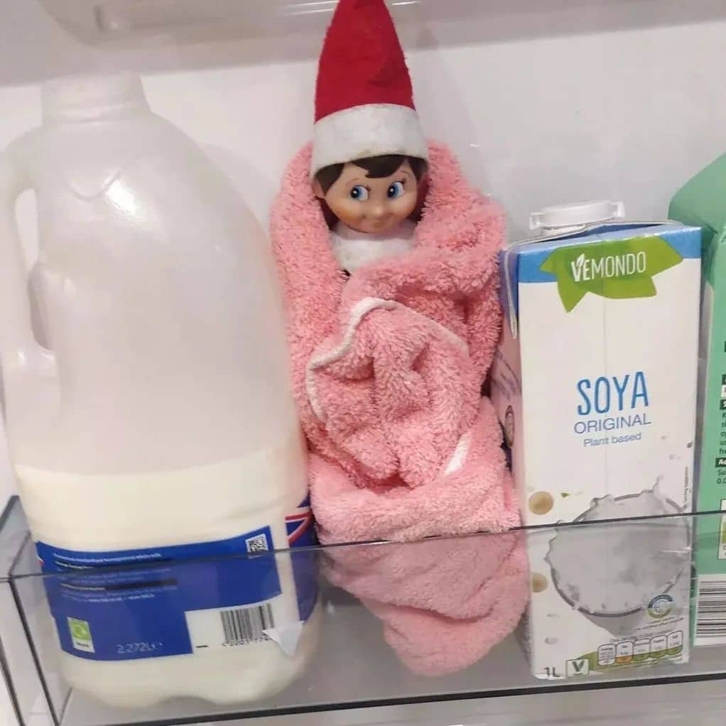 Elf in the refrigerator