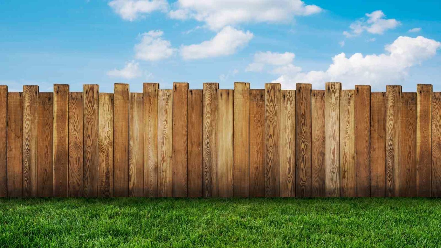 Зеленый деревянный забор