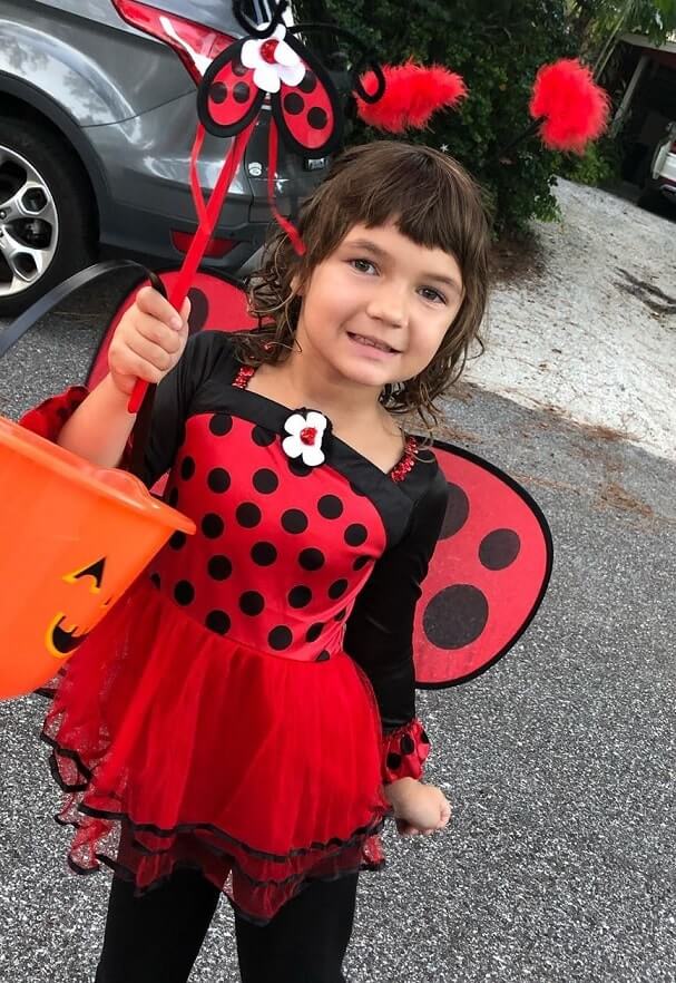 Ladybug Costume