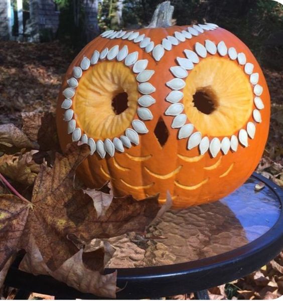 Owl Pumpkin