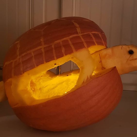 Turtle pumpkin