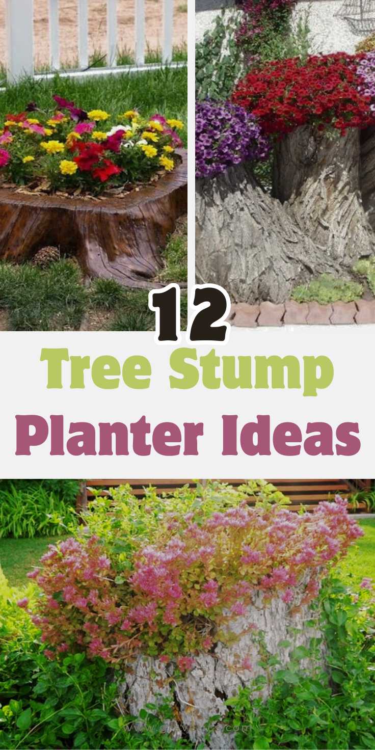 Tree Stump Planter Ideas