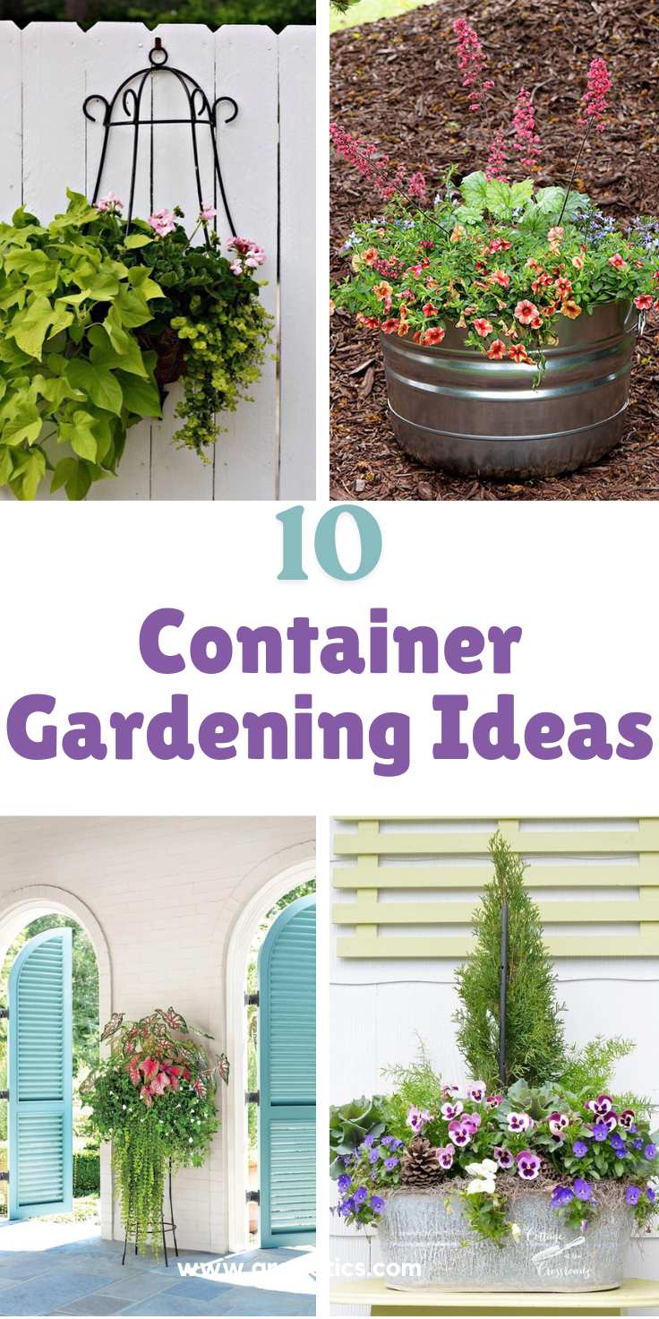 Container Gardening Ideas