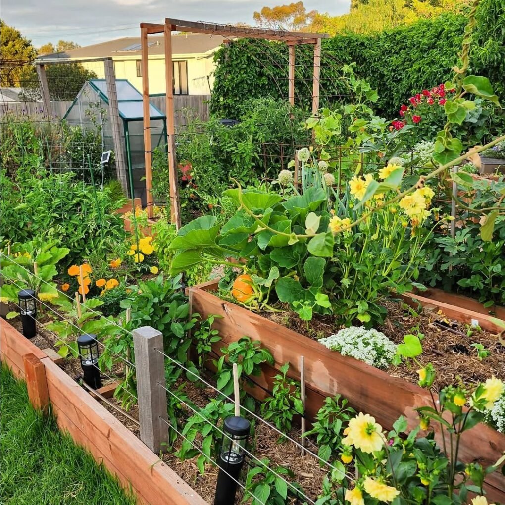 Mini Raised Veggie Bed
