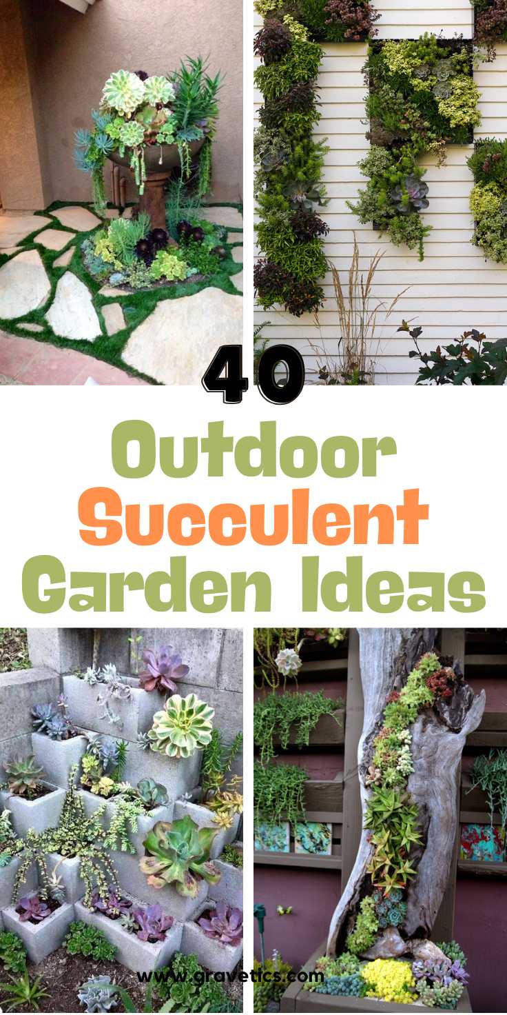 Outdoor Succulent Garden Ideas