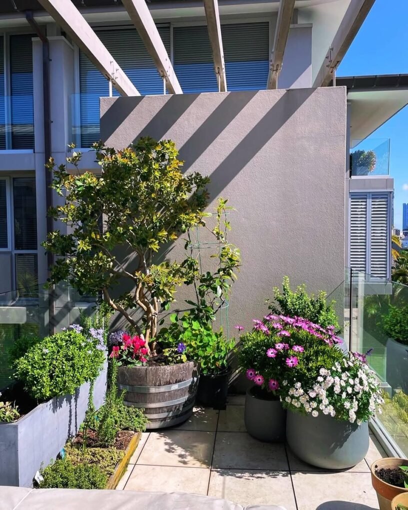 Perennial Planting Plan