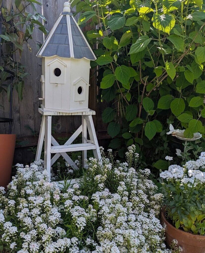 15 French Cottage Garden Ideas: Create Your Dream Romantic Oasis 6 Whimsical Birdhouses