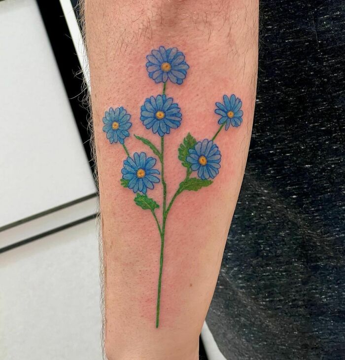 Blue Daisy Bush