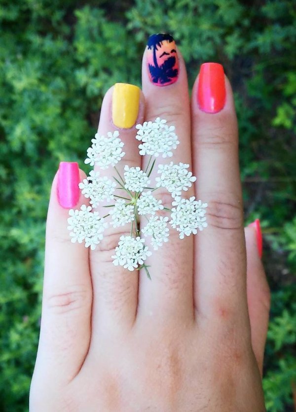 Dashing Colorful Nails With Palm Tree