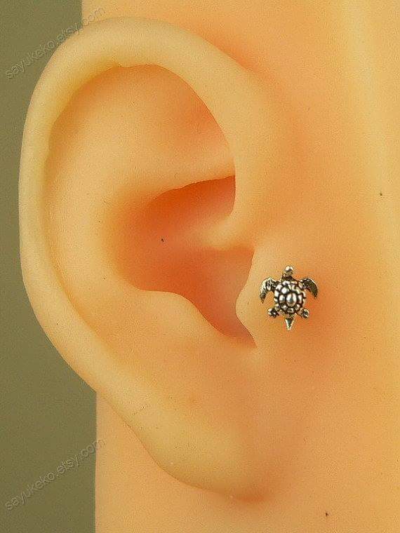 Trendy Turtle Stud