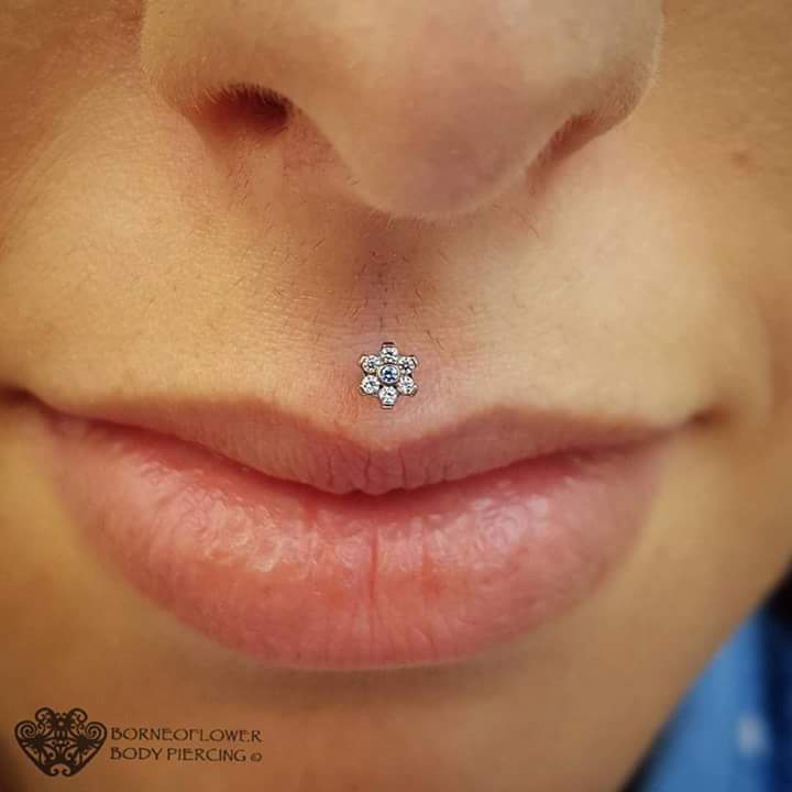 Cute Diamond Jewelry Face Piercing