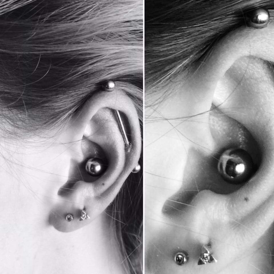 Distinctive Silver Conch Barbell