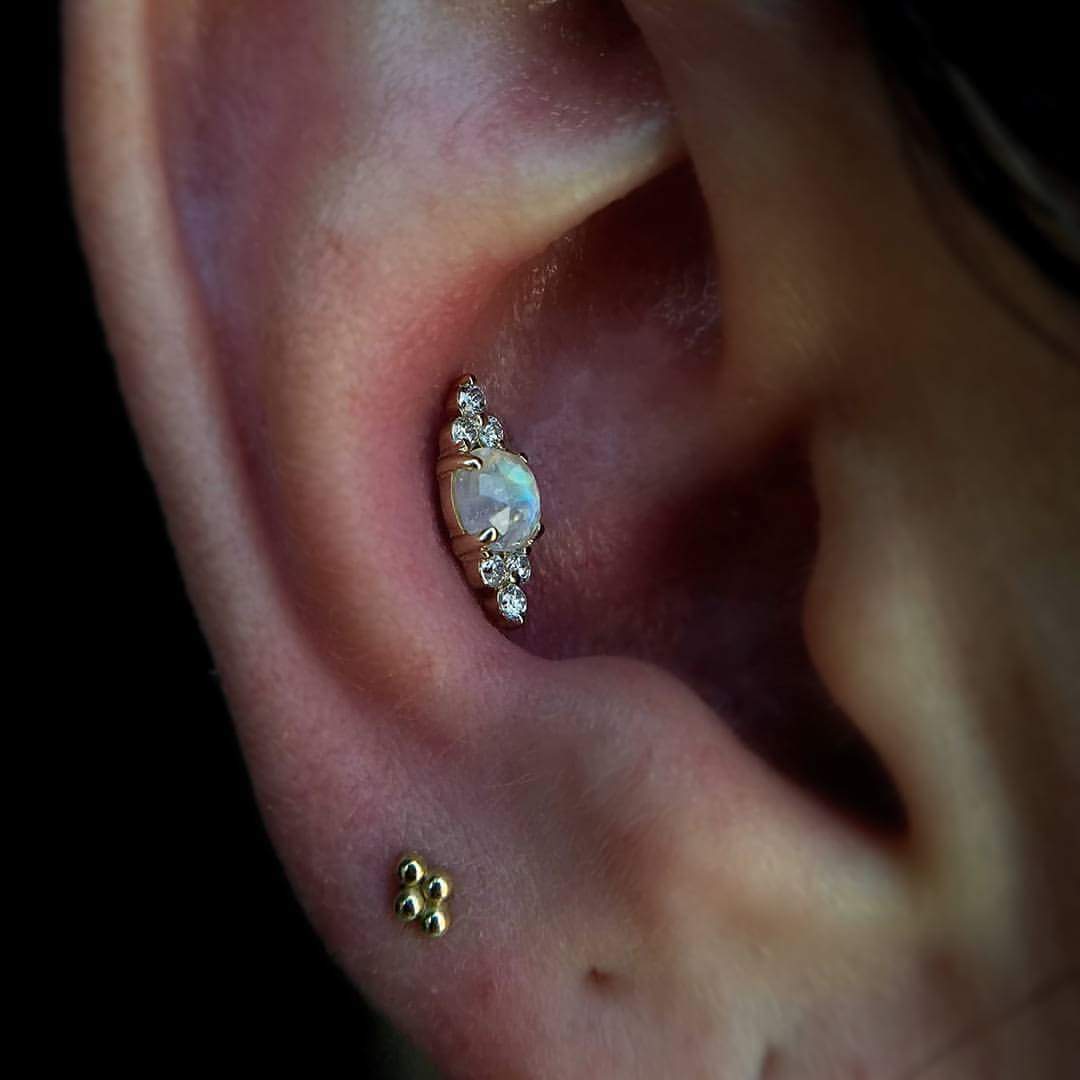 Snug and Showy Conch Stud Earring