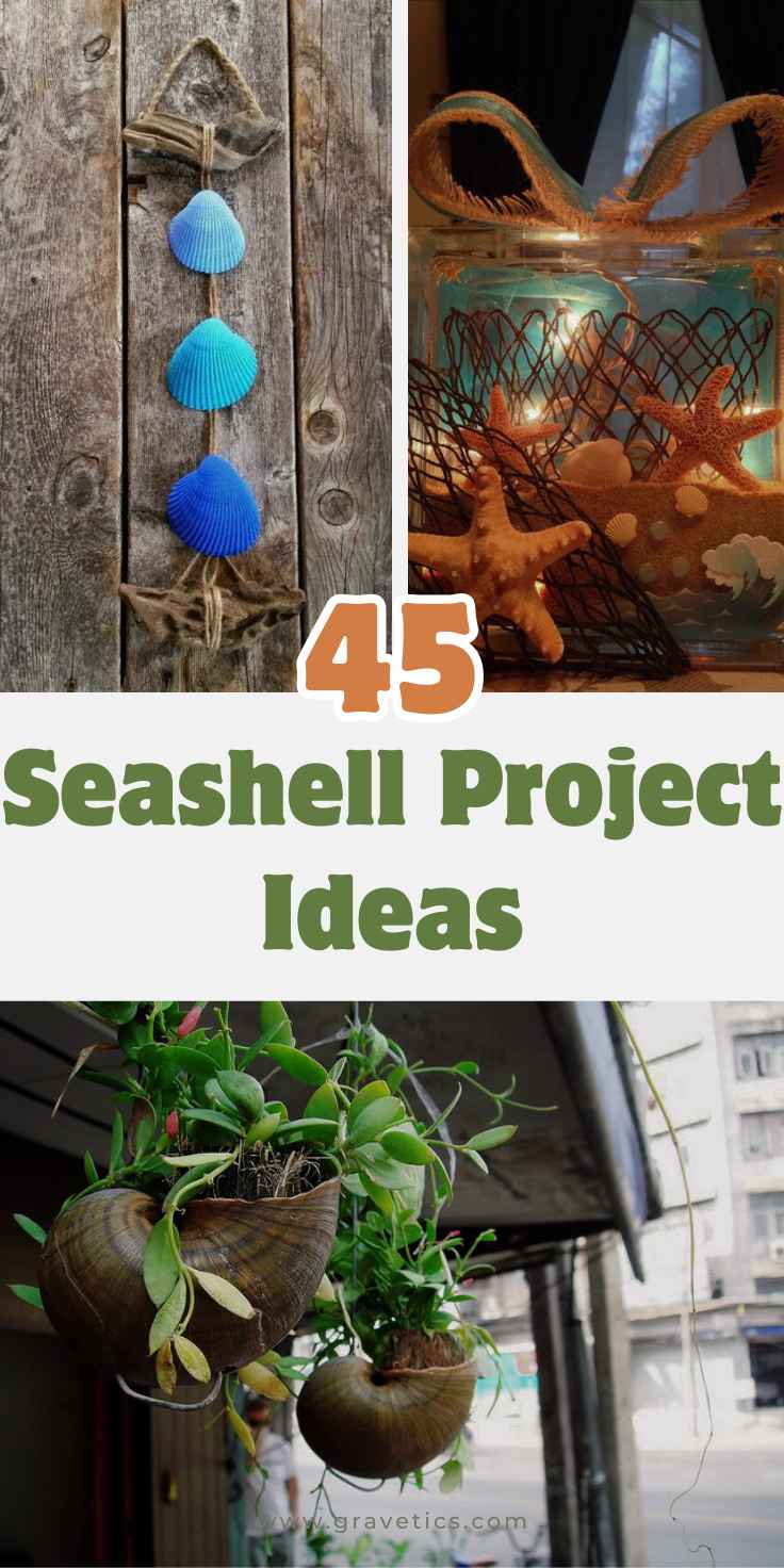 Seashell Project Ideas