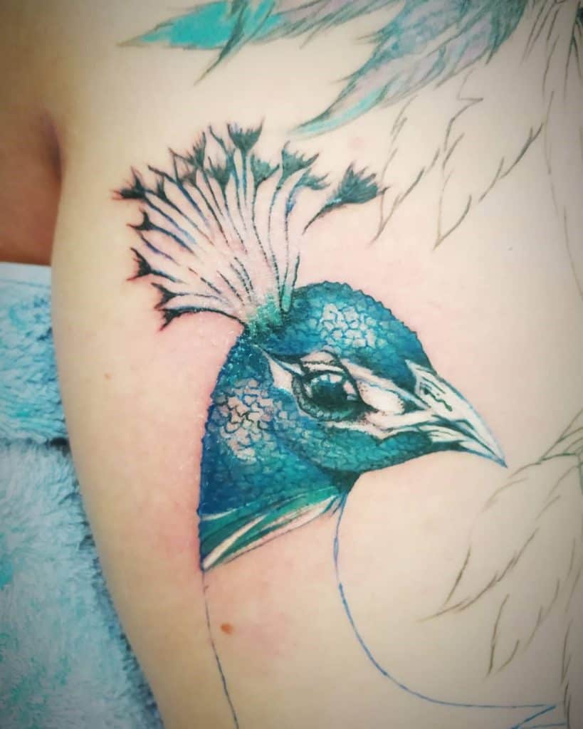 Blue Peacock Tattoo Idea Over Arm