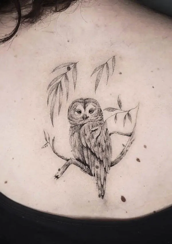 Fine line owl on the back