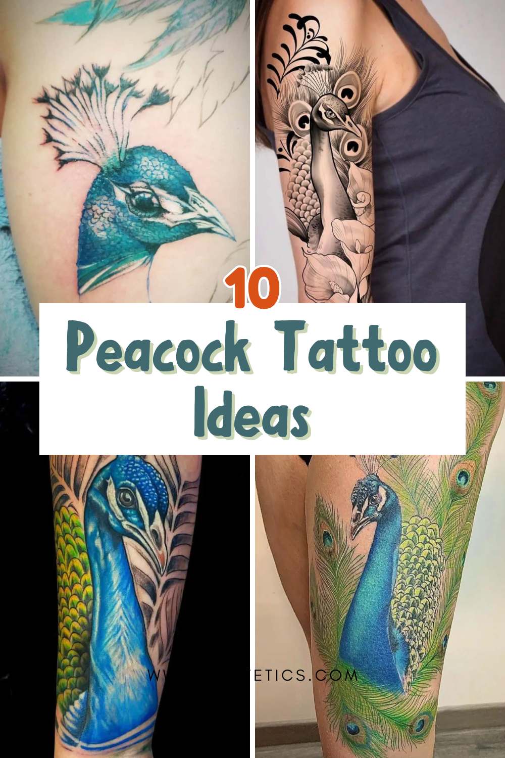 Peacock Tattoo Ideas